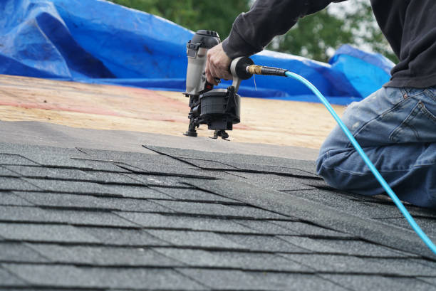 Best Roof Gutter Cleaning  in California, MO